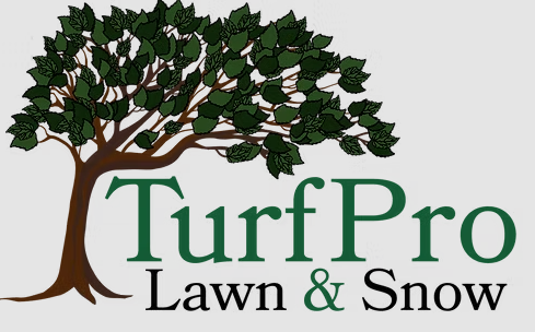 TrufPro logo, a tree with the TurfPro Lawn & Snow title